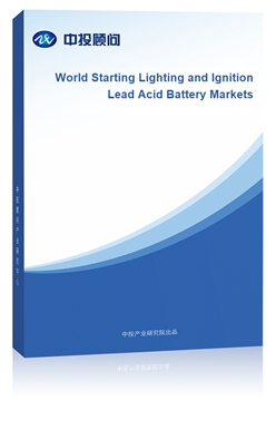 World Starting Lighting and Ignition Lead Acid Battery Markets