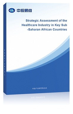 Strategic Assessment of the Healthcare Industry in Key Sub-Saharan African Countries