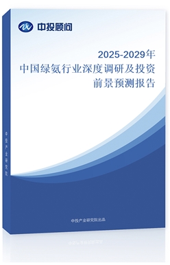 2025-2029ЇGИI(y){мͶYǰAy